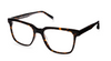 Warby Parker Chamberlain Fade